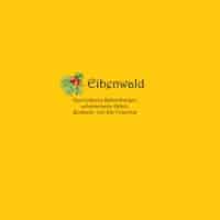 Eibenwald in Pfaffenhofen
